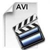 100_0022.AVI