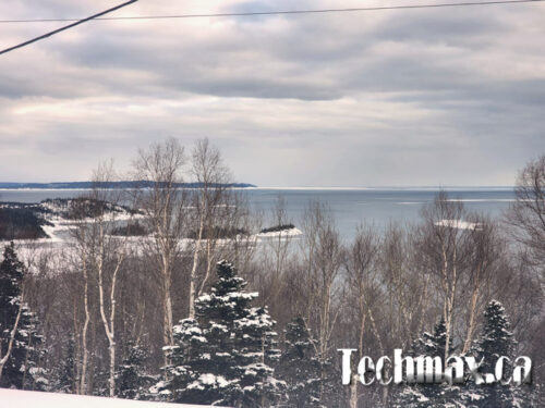 The spring almost here